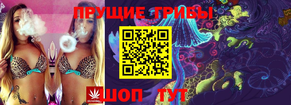 Галлюциногенные грибы Cubensis  Вход с VPN  Новозыбков 